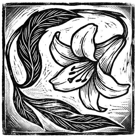 Engraved Lilly